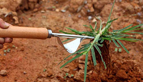 1 PCS Stainless Steel Weeder Manual Household Farm Tool Root Extractor Weeder Loose Soil Raising Fork Garden Gardening...