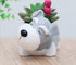 Cute Planter Animal Shaped Cartoon Home Decoration Succulent Vase Flower Pots (Schnauzer)...