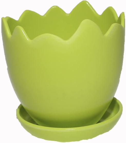 Egg shaped Flower pot and Coaster Set of 10...