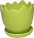 Egg shaped Flower pot and Coaster Set of 10...