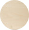 Wood Circles 15 inch, 1/8 Inch Thick, Birch Plywood Discs, Pack of 1 Unfinished Wood Circles for Crafts, Wood Rounds by Woodpeckers...