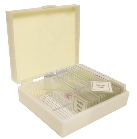 Vision Scientific VSH107 Prepared Slide Set – Microbial World (Set of 15)...