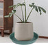 6 Pack of Bird Bath Bowl 8 inch, 8 10 12 14 16 18 20 inch Heavy Duty BirdBath Bowls only, Durable Plastic Round Large Plant Saucer Dish for Garden...