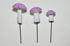 G & F Products 10025PU Garden Miniature, 0.5-1.25" High, Purple …...