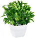 MARTINE MALL 10.3 Inches Faux Eucalyptus Plants Potted Artificial Plants in Pot Faux Plants Indoor Fake Potted Plants Fake Green Plant Bonsai with...
