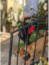 Neoprene Dog Leash SCOOBY - Large...
