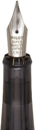 Pilot Fountain Pen LIGHTIVE Non-color Medium Point FLT-2SR-NCM Black Ink With Original Stylus Ballpoint Touch Pen......