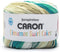 Caron Cinnamon Swirl Cakes Yarn - Spearmint Swirl, Green...