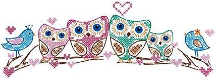 Design Works Crafts, 20" x 30" Stamped Pillowcases for Embroidery, Owls, White...