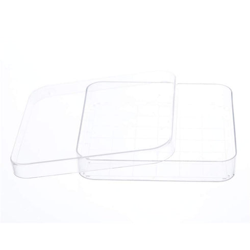Scicalife 10 Sets Square Petri Dish with Lids, Plastic Material, Container for School Lab Science Experiment...