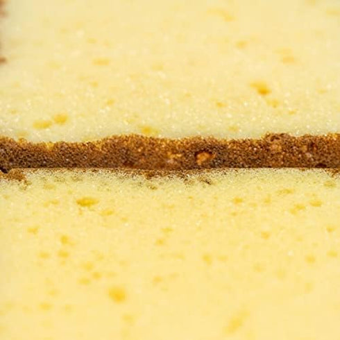 2-Count Fun Toast Dish Washing Compressed Cellulose Sponge for Kitchen Cleaning Supplies...