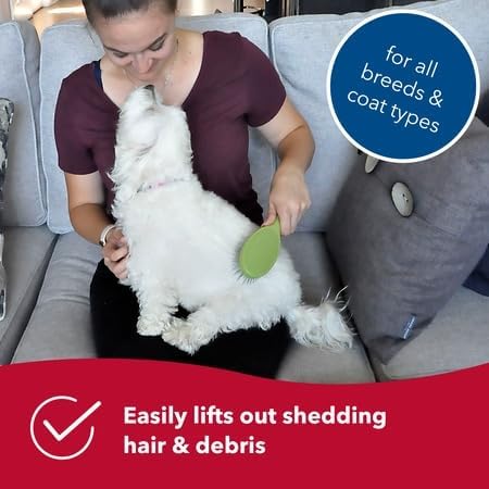 Coastal Pet Safari Wire Pin Brush with Plastic Handle - General Dog Grooming Brush for Dogs with Short and Long Hair - No-Slip Handle - Compatible...