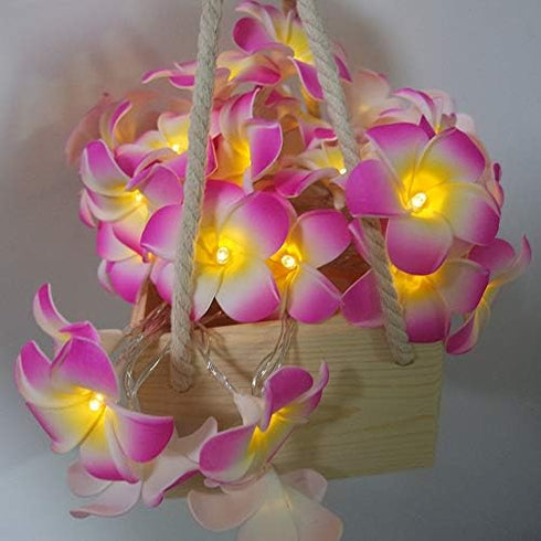 Lxcom Lighting Plumeria Flower String Lights 20LED String Light Hawaiian Foam Artificial Plumeria Flower Battery Powered Fairy Starry Lights for C...