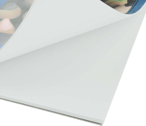 PRO ART Drawing Paper, 9-inch x 12-inch, 25 Sheet Wire Bound Pad, White...