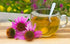 Echinacea Herb - Echinacea purpurea Loose Leaf C/S 100% from Nature (4 oz)...