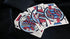 Murphy's Magic Supplies, Inc. Bicycle Hypnosis V2 Playing Cards...