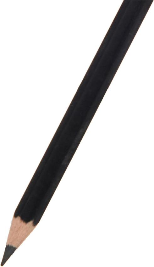 Faber-Castell Graphite Pencil Pitt Graphite Matt 12B...