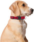 Reflective Dog Collar for Small,Medium, and Large Dogs,Ajustable Nylon Dog Collars with Quick Release Buckle,Red L...