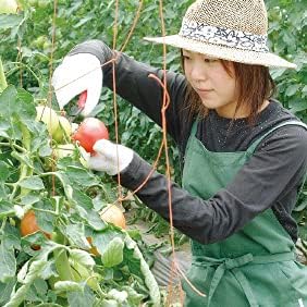 Garden Shears 7.2” Sharp Japanese Stainless Steel Blade, Precision Pointed Hand Garden Scissors for Trimming, Harvesting, Spring Loaded Lightweigh...
