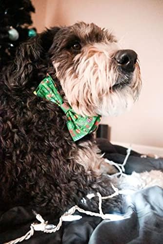 Huxley & Kent Bow Tie for Pets | Merry & Bright (Small) | Christmas Holiday Velcro Bow Tie Collar Attachment | Fun Bow Ties for Dogs & Cats | Cute...