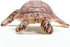 Schleich Wild Life New 2024 Wild Animal Toy Hawskbill Sea Turtle Ocean Animal Figurine...