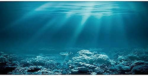 AWERT 24x12 inches Undersea Theme Aquarium Background Sunshine Underwater World Fish Tank Background Vinyl...