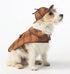 McCall's Patterns M7004, Dog Costume Sewing Pattern, 4 pc...