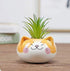 Cute 3.5 Inches Indoor Cartoon Animal Cat Shaped Ceramic Succulent Cactus Flower Plant Pots with Bamboo Tray (Plant Not Included) (Yellow)...