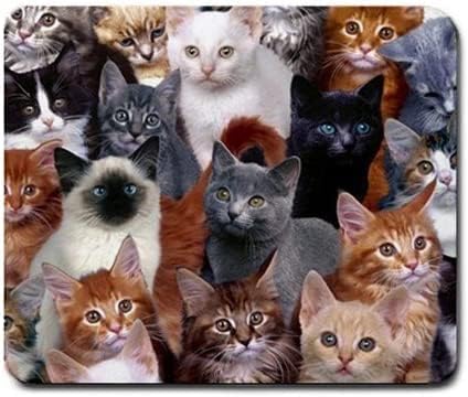 Cats Galore Mouse Pad, Square Anti-Slip Rubber Mousepad, Premium-Textured Mouse Mat, Cute Office Mouse Pads for Women Men Computer Laptop...