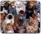 Cats Galore Mouse Pad, Square Anti-Slip Rubber Mousepad, Premium-Textured Mouse Mat, Cute Office Mouse Pads for Women Men Computer Laptop...