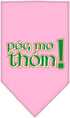 Pet and Dog Bandana Screen Printed, Pog Mo Thoin Yellow Large...
