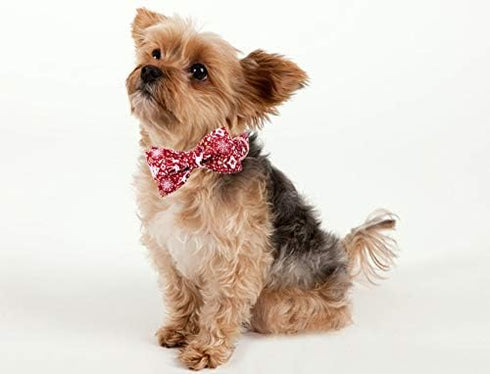 ARING PET Dog Collar Bowtie, Dog Collar with Bow, Adjustable Collars for Dogs Small Medium Large...