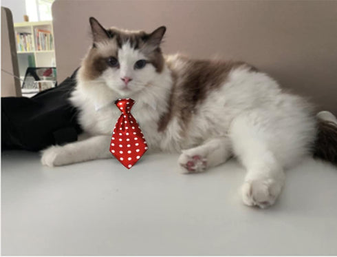 4 Pieces Pets Dog Cat Bowtie Pet Costume Adjustable Formal Necktie Collar for Cats Small Dogs Puppy Grooming Accessories (red/Heart)...