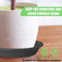 Plastic Plant Saucer 5.8" (4.5" at Base), 6 Pack Singe Size, Thick 6 8 10 12 inch Plant Water Catcher Tray for Indoors Potted Plant Drainage Drip ...