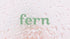 Fern MK27124 Chenille Mop Refill and Microfiber Sweeping Pad - Compatible with Fern 48" Mop Kits for Efficient Cleaning...