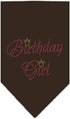Mirage Pet Products Birthday Girl Rhinestone Bandana, Small, Red...