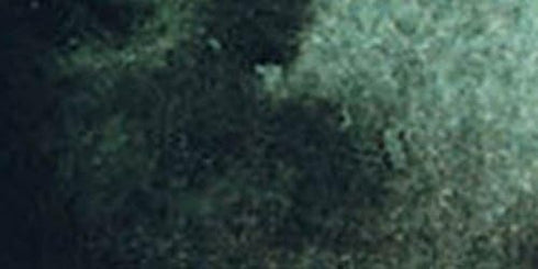 DANIEL SMITH 284600194 Extra Fine Watercolor 15ml Paint Tube, Perylene Green, 0.5 Fl Oz (Pack of 1)...