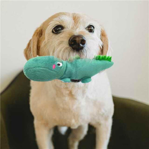 Jalousie Multipack Dog Squeaky Toys Dog Toy Bulk Dog Toy - Dog Toys for Pets Dogs for Small Medium Large Dogs (12 Pack Rope and Plush Animals)...