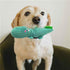 Jalousie Multipack Dog Squeaky Toys Dog Toy Bulk Dog Toy - Dog Toys for Pets Dogs for Small Medium Large Dogs (12 Pack Rope and Plush Animals)...