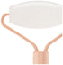Rose Quartz Face Roller...