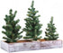 Winlyn 3 Pack Mini Canadian Pine Trees with Wood Bases Artificial Miniature Christmas Trees and Rustic Planter for Holiday Season Tabletop Decorat...
