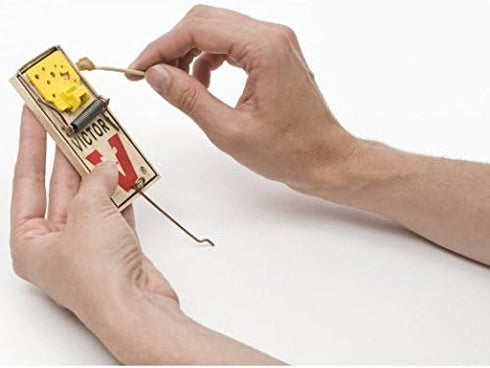 Victor Easy Set Mouse Trap (Pack of 10)...