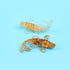Opexicos 4Pcs Decorative Crystal Gravel Drop Glue Fish Shape Small Ornaments Gift Ornaments Fish Tank Aquarium Pool...