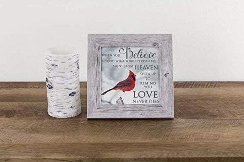 Summer Snow Cardinal Sympathy When You Believe Beyond What Your Eyes Can See | SS6848 - Framed Glittered Glassless Acrylic Sealed Picture...