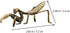 Metal Mantis Brass Praying Mantis Mini Fairy Garden Animal Figurines Lawn Patio Tree Ornaments Sculpture Micro Landscape Ornaments for Backyard De...