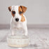 Fringe Studio Stoneware Pet Bowl with Tribal Marks, Small, White (484011), Medium...