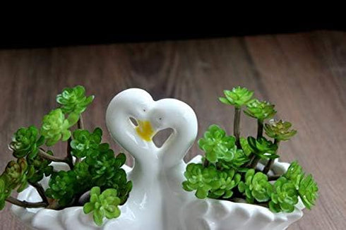 Funnuf Cute Animal White Ceramic Succulent Cactus Flower Planter for Home Garden Office Desktop, 1pcs, swan Couple...