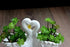 Funnuf Cute Animal White Ceramic Succulent Cactus Flower Planter for Home Garden Office Desktop, 1pcs, swan Couple...