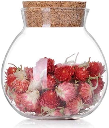 1PCS 500ML/17OZ Glass Favor Jars With Cork Lids Empty Transparent Round Food Storage Large Capacity Sealed Glass Bottles for Spice Food Snack Nut ...
