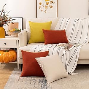 Woaboy Set of 2 Outdoor Waterproof Fall Throw Pillow Covers Burnt Orange Decorative Farmhouse Solid Cushion Cases for Bed Sofa Couch Car Living Ro...